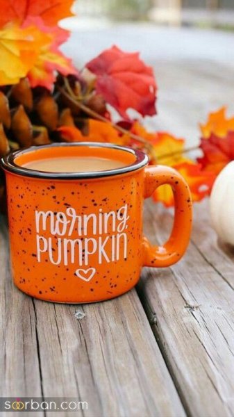  عکس صبح بخیر پاییزی زیبا