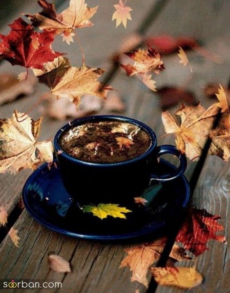  عکس صبح بخیر پاییزی زیبا