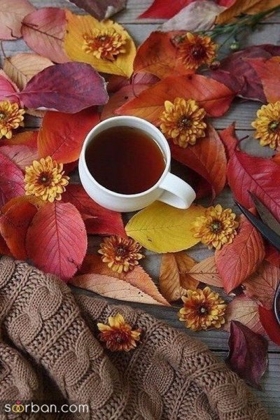  عکس صبح بخیر پاییزی زیبا