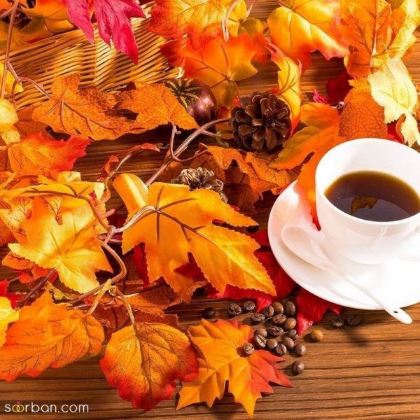  عکس صبح بخیر پاییزی زیبا