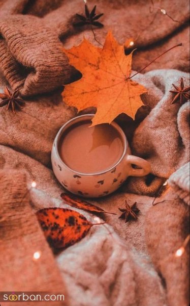  عکس صبح بخیر پاییزی زیبا