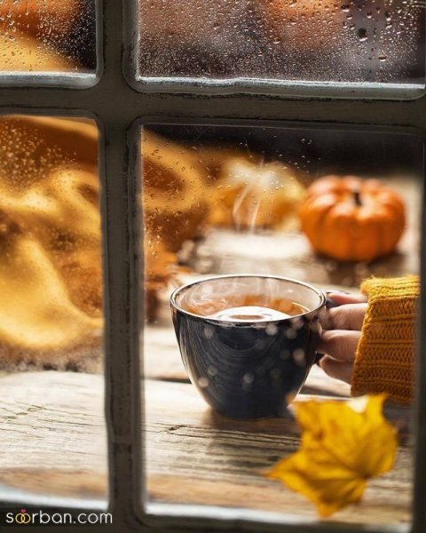  عکس صبح بخیر پاییزی زیبا