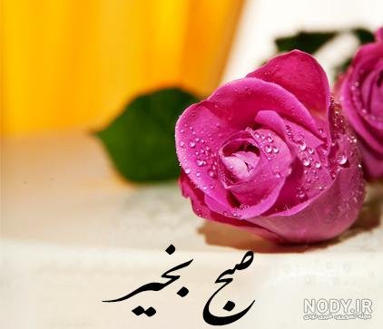  عکس و متن صبح بخیر روز دوشنبه