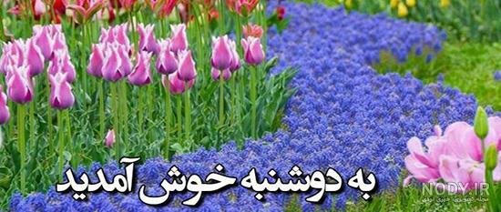  عکس و متن صبح بخیر روز دوشنبه