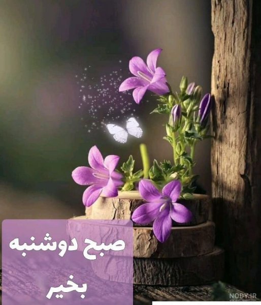  عکس و متن صبح بخیر روز دوشنبه