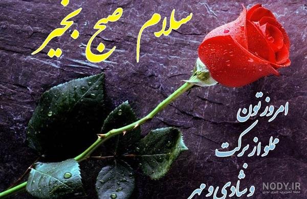  عکس و متن صبح بخیر روز دوشنبه