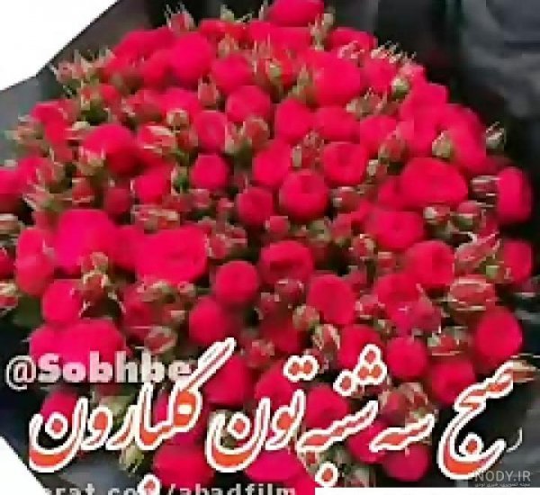  عکس و متن صبح بخیر روز یکشنبه