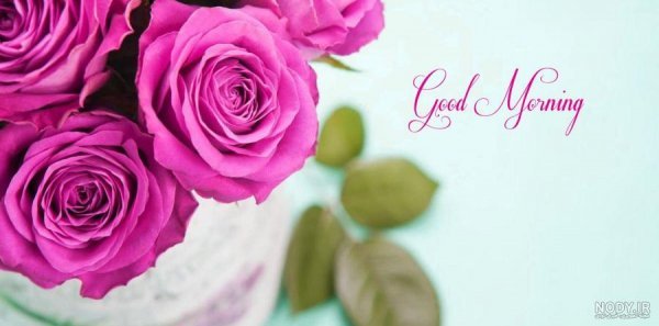  عکس و متن صبح بخیر روز یکشنبه