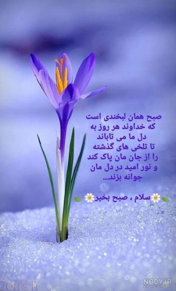  عکس و متن صبح بخیر روز یکشنبه