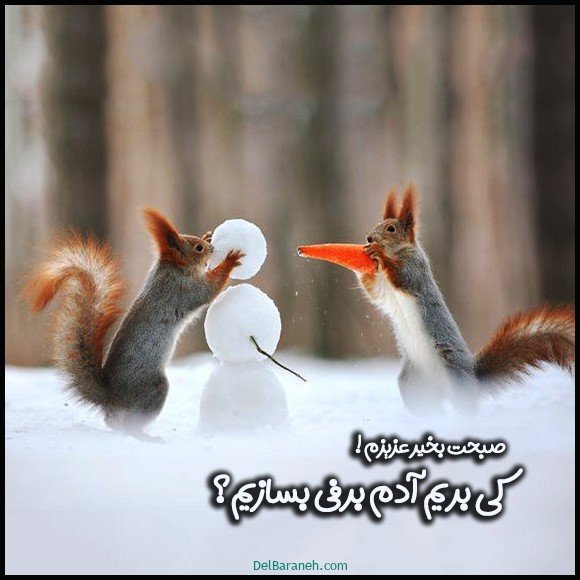 عکس متن صبح بخیر زمستانی