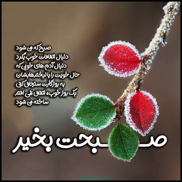  عکس متن صبح بخیر زمستانی