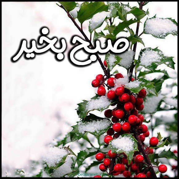 عکس متن صبح بخیر زمستانی