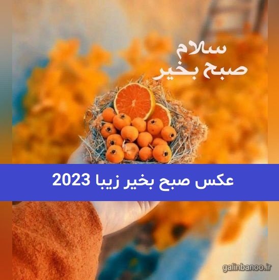  عکس صبح بخیر زیبا بدون متن