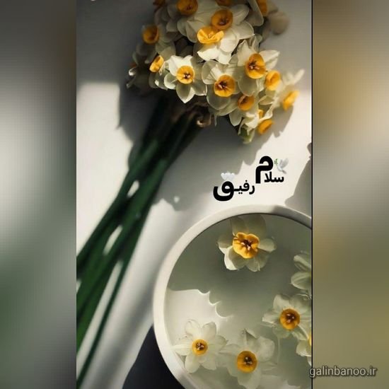  عکس صبح بخیر زیبا بدون متن