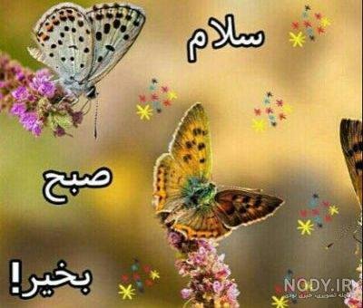  عکس طبیعت با متن صبح بخیر