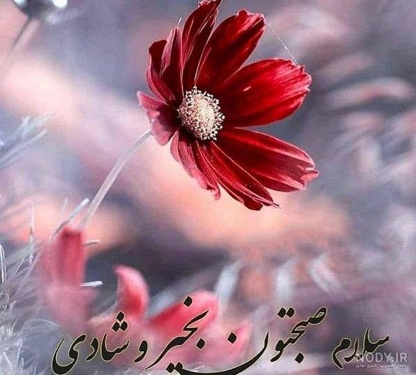 عکس طبیعت با متن صبح بخیر