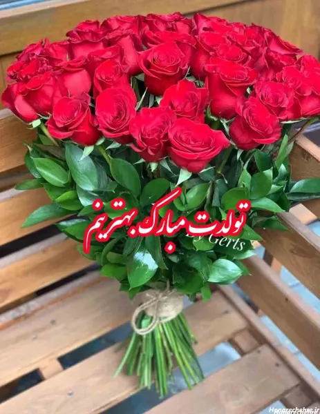  16 عکس تولد خاص