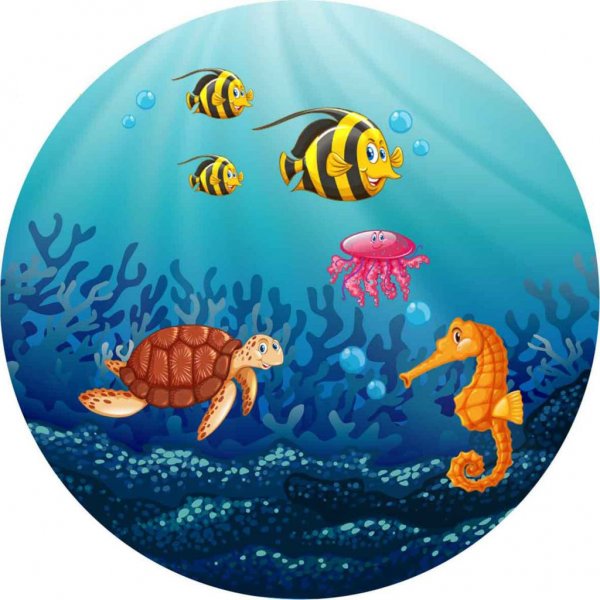  تم تولد دخترانه جدید