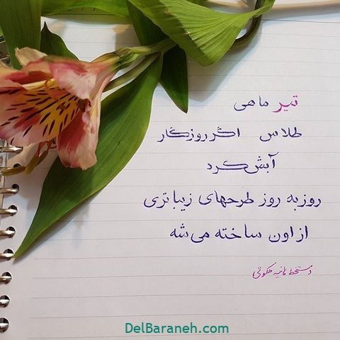  عکس تولد تیر ماهی