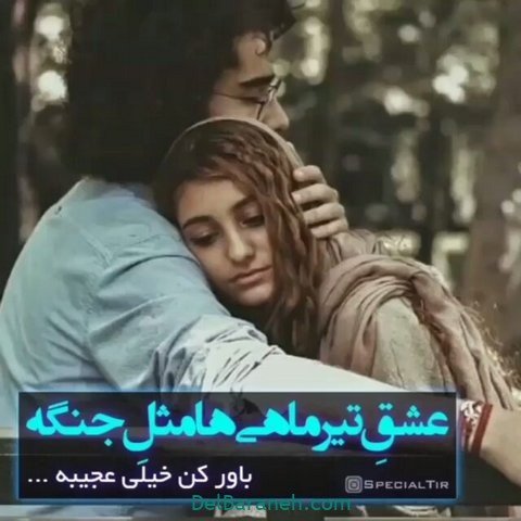  عکس تولد تیر ماهی