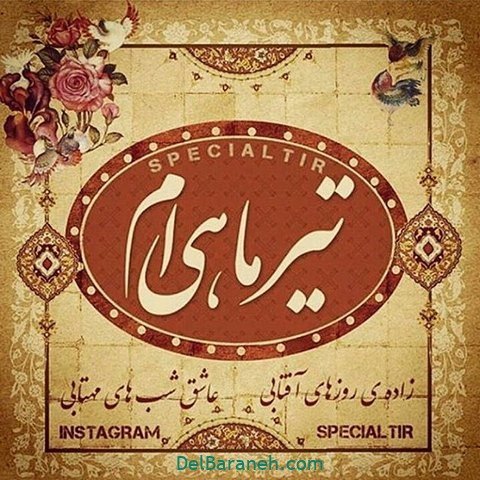  عکس تولد تیر ماهی