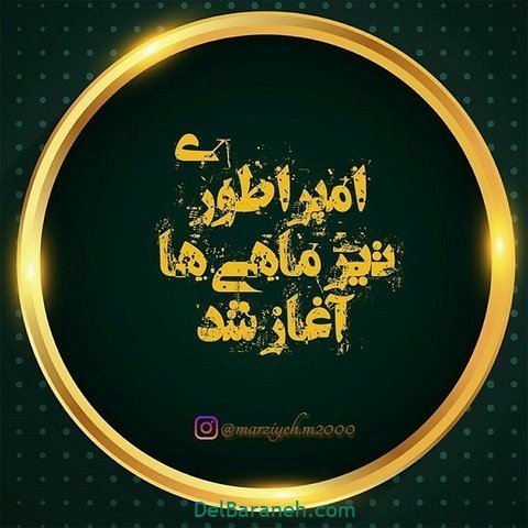  عکس پروفایل تیر ماهی غمگین