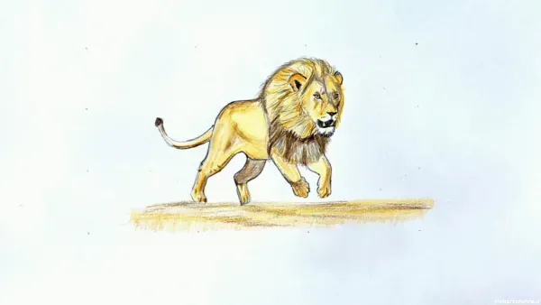  عکس نقاشی شیر