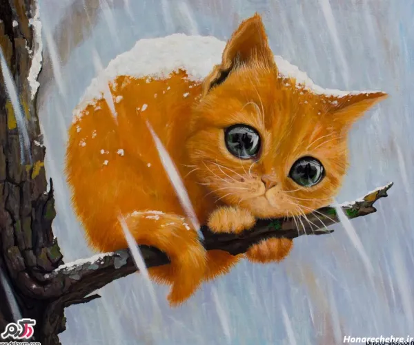  100 عکس نقاشی گربه