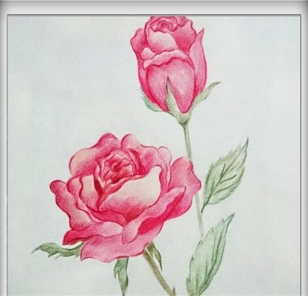  عکس گل نقاشی