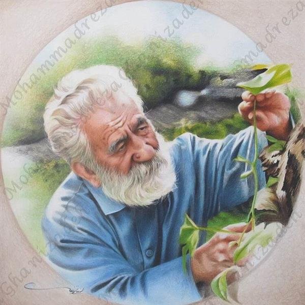  عکس گل نقاشی