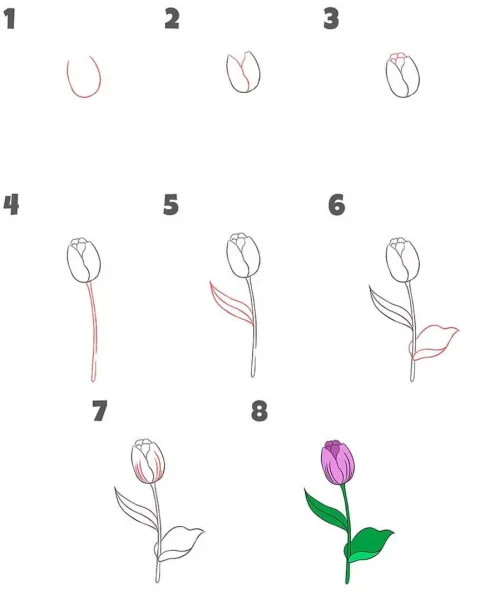  عکس گل نقاشی