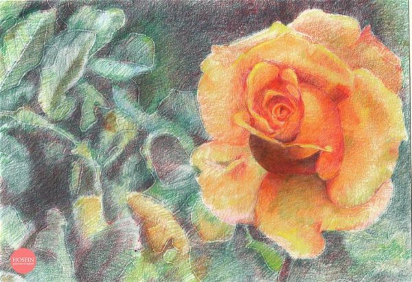  عکس گل نقاشی