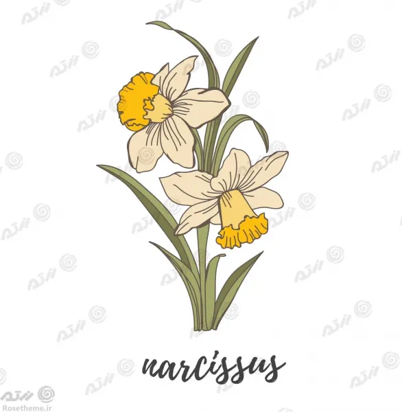  عکس گل نقاشی