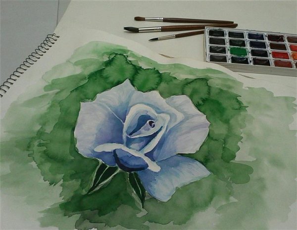  عکس گل نقاشی