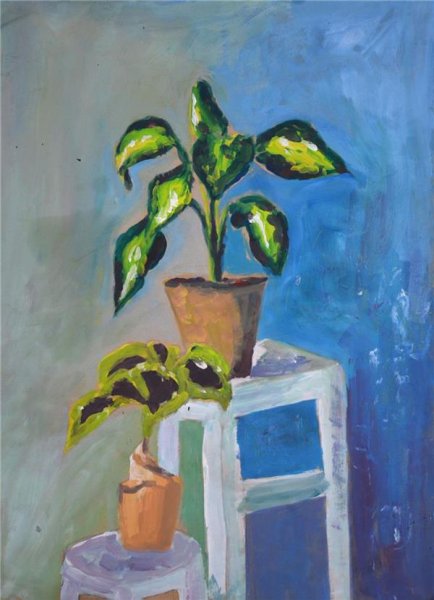  عکس گل نقاشی