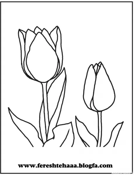  عکس گل نقاشی