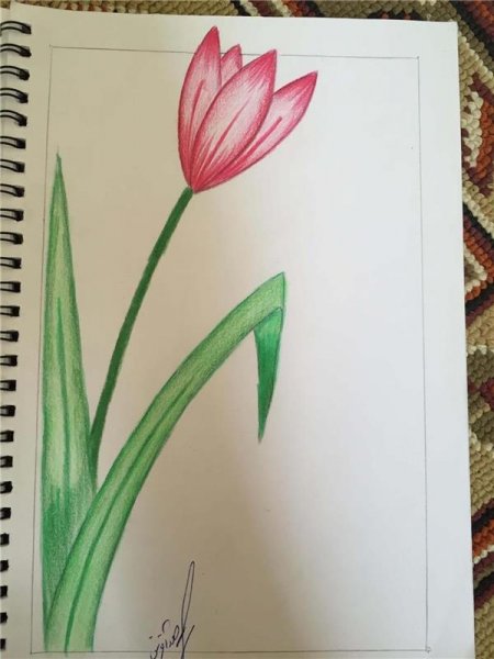  عکس گل نقاشی