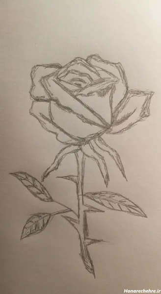  عکس گل نقاشی