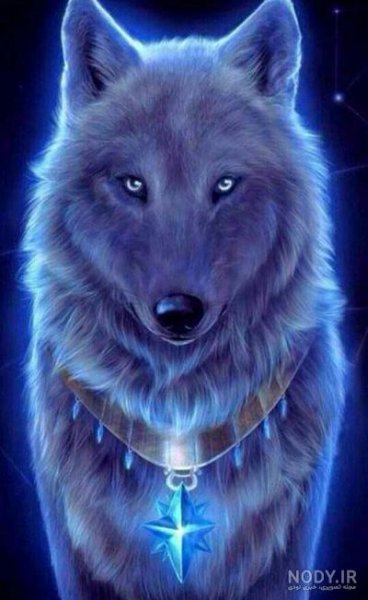  عکس گربه گوگولی واقعی