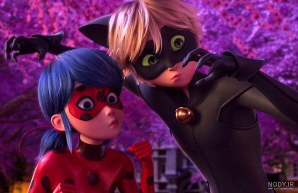  عکس گربه واقعی سیاه