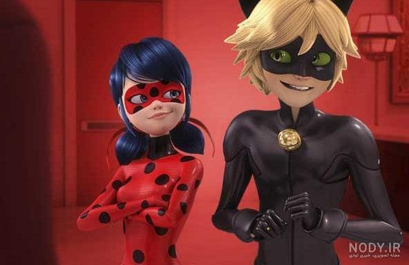  عکس گربه واقعی سیاه