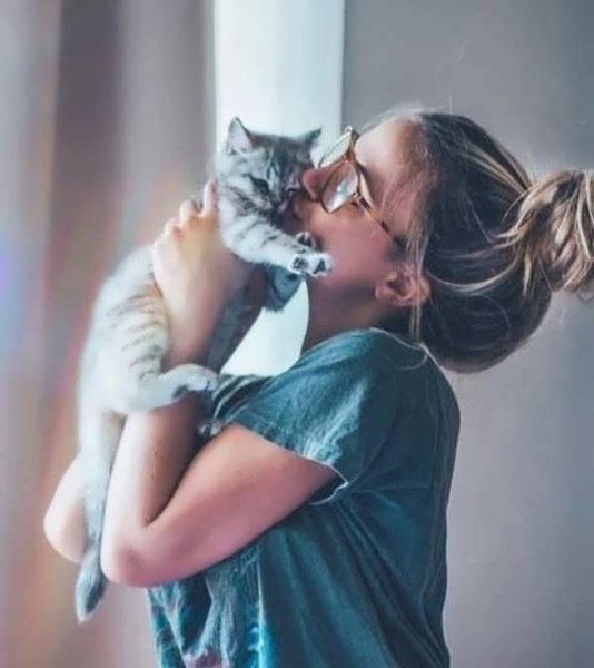  50 عکس پروفایل گربه و دختر