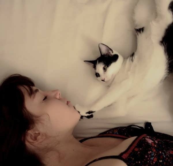  50 عکس پروفایل گربه و دختر