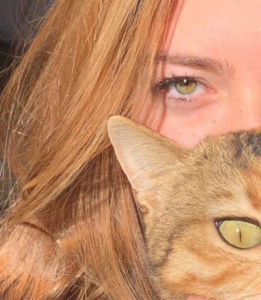  50 عکس پروفایل گربه و دختر