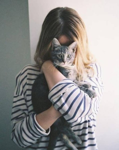  50 عکس پروفایل گربه و دختر