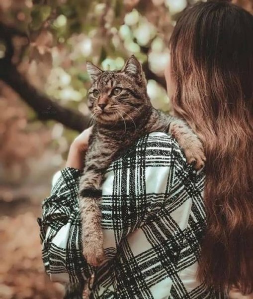  50 عکس پروفایل گربه و دختر