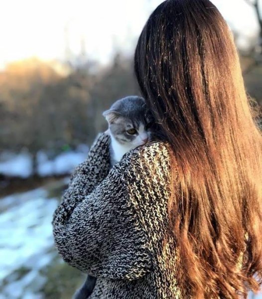  عکس پروفایل گربه و دختر غمگین