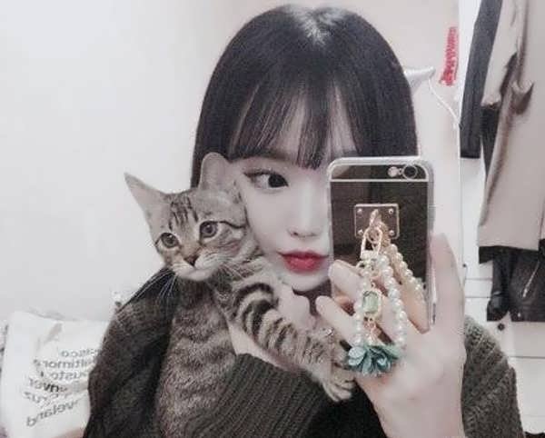  عکس پروفایل گربه و دختر غمگین