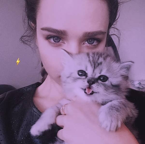  عکس پروفایل گربه و دختر غمگین