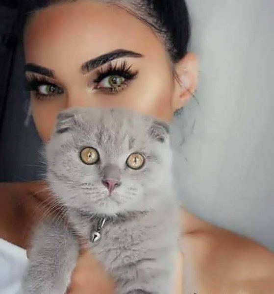  عکس پروفایل گربه و دختر غمگین